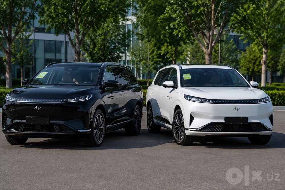 DONGFENG 008 Electr + Hybrid 2026 ega‼️