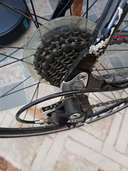 Vand sau la schimb cursiera