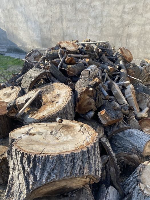 дрова орех и урюк