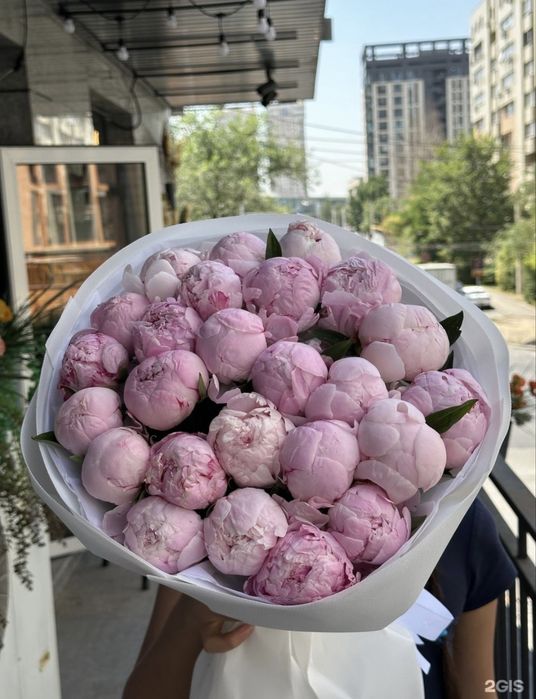 Майские пионы букет