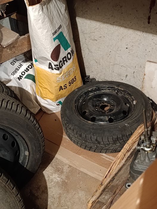 Джанти Рено клио