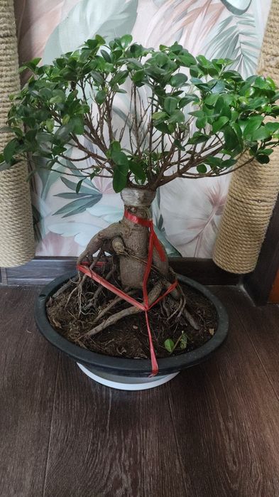 Приглашаю в группу