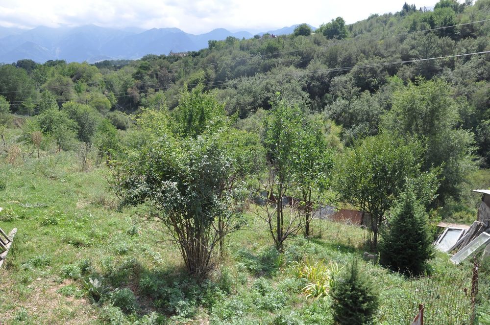 Продам или сдам КХ