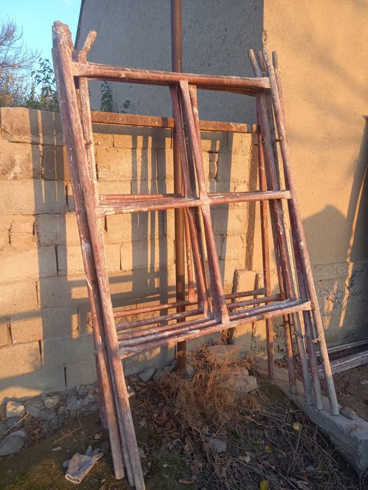 Apalubka lisa mishalka stoyka