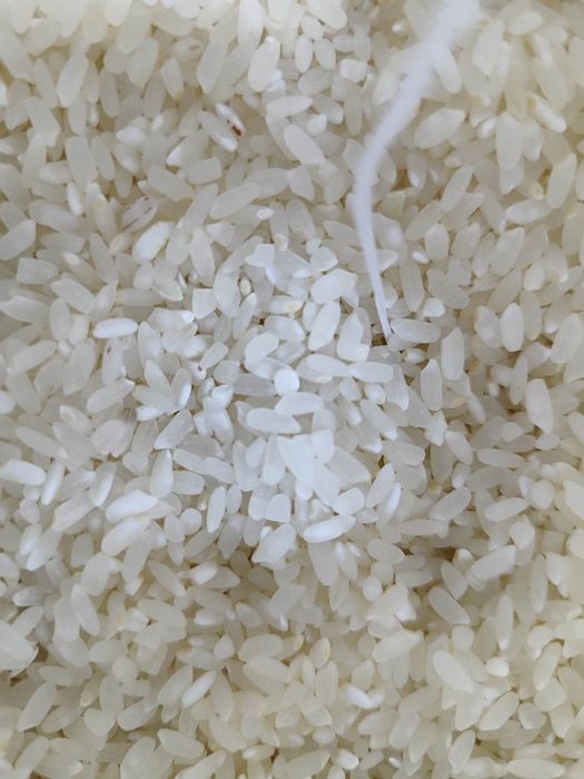 Рис баканас свежий