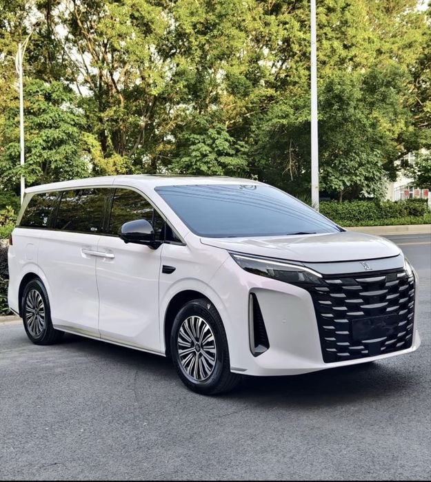 BYD Xia 7 ta urindiqli miniven