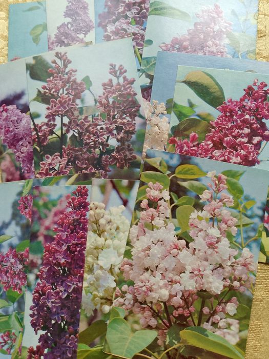 Открытки советские