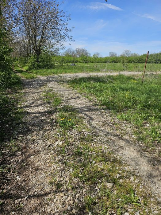 Vând teren 1500 mp  intravilan Băicoi