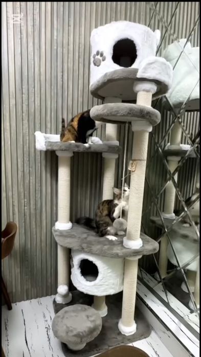 Домик когте-точка для кошки.