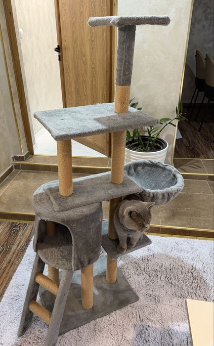 Катерушка за котки 135 см