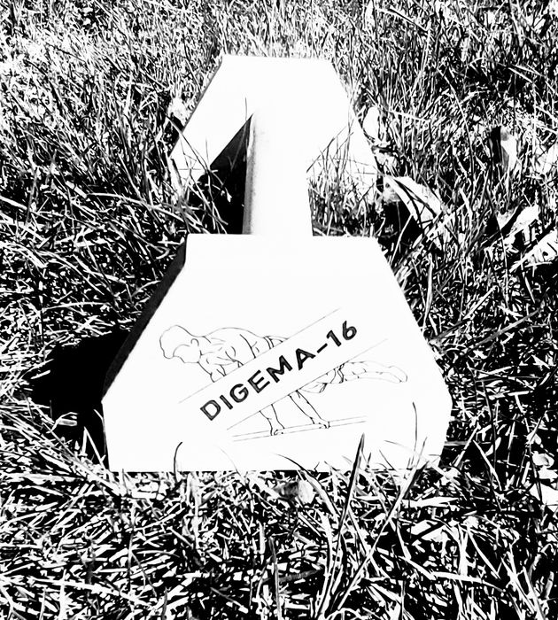 Гимнастически стойки от бук / Parallettes