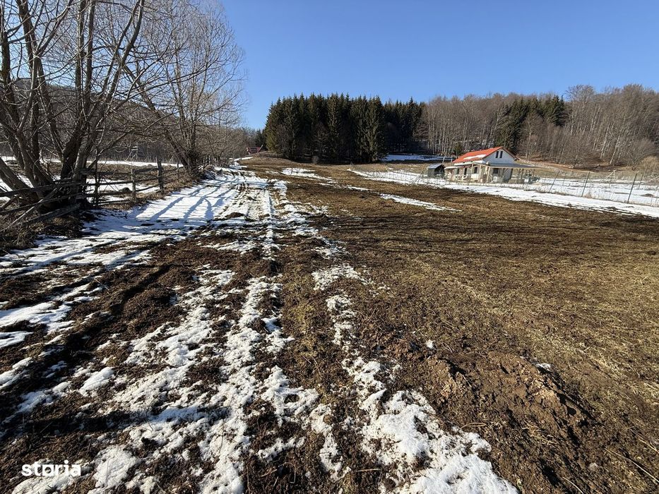 Teren intravilan 4521mp lângă pădure-valea Doftanei -Calea Brasovului