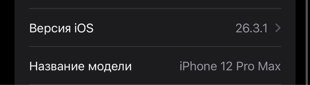 IPhone 12 Pro Max 256 GB