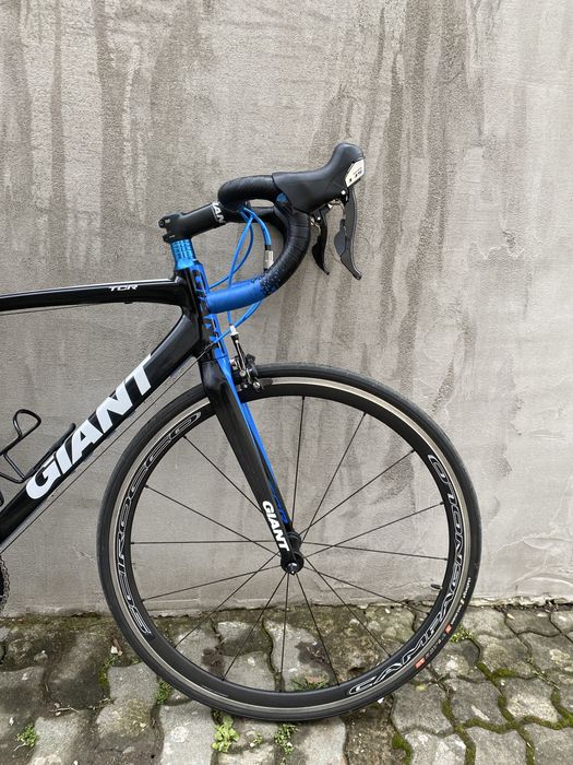 Cursiera Giant TCR