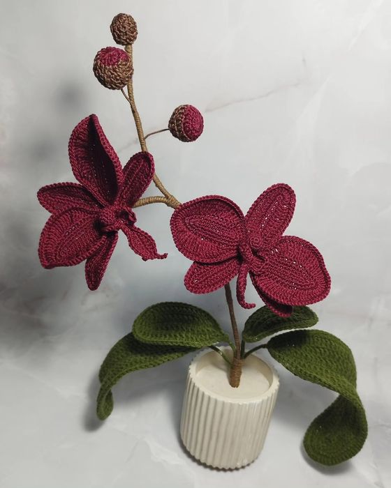 Интерьерная Орхидея, вязанный Фаленопсис