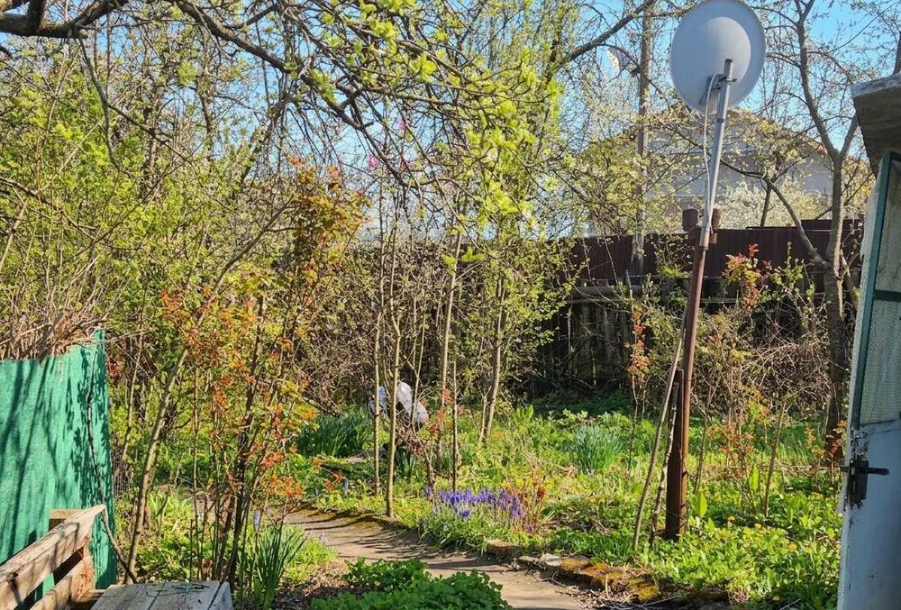 CASA SI CURTE Teliuc  vedere spre lac