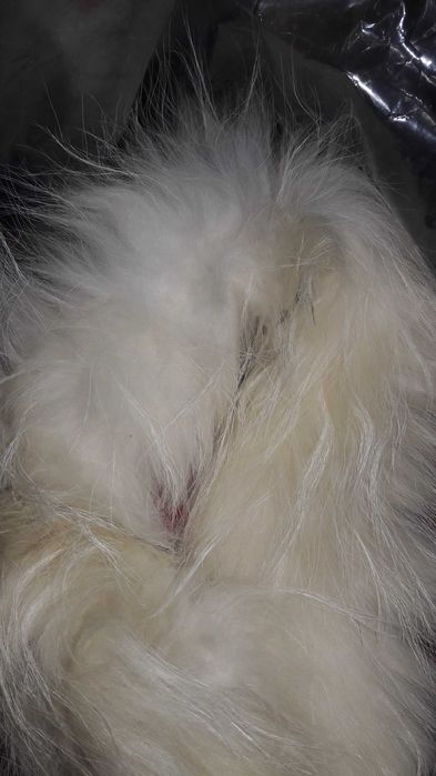 Комбинезон зимний на девочку 5 лет