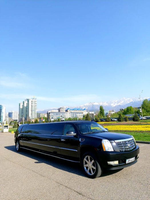 Выписка из роддома на лимузине