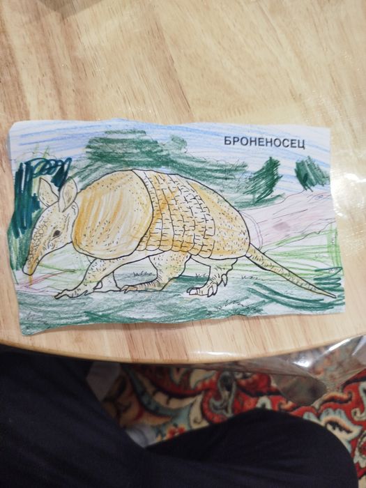 Картина броненосец