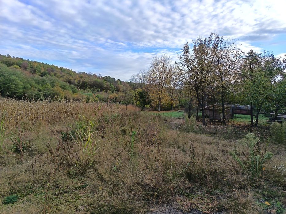 Teren intravilan/loc de casă 7.800 mp-Conop, jud. Arad