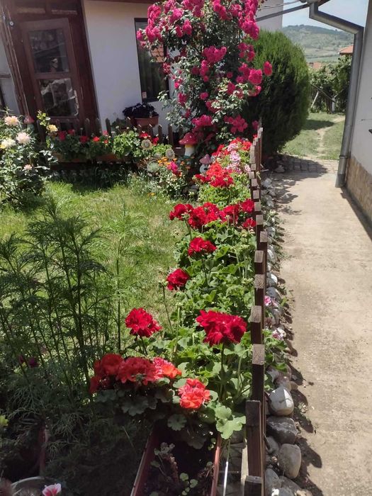 Продава се Къща в Велинград - 165 кв.м за 1200 €/кв.м - Снимка #12