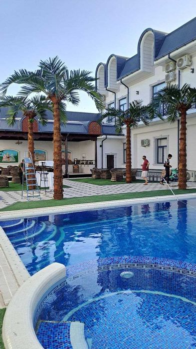 Xashamatli sun’iy palma 3–8m | 765$ dan