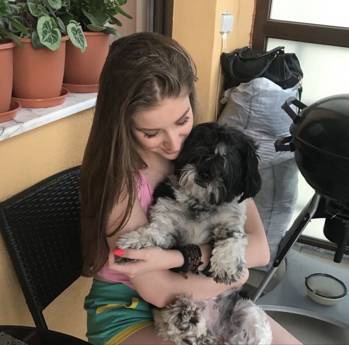Pet sitter | cazare catelusi si pisicute
