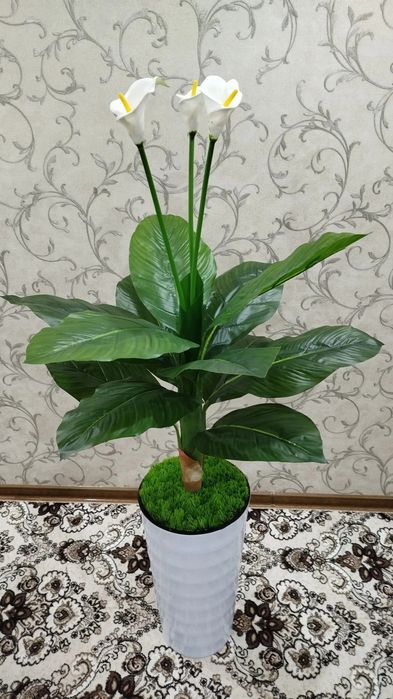 Katta Kala suniy dekarativ gullarimiz sotiladi