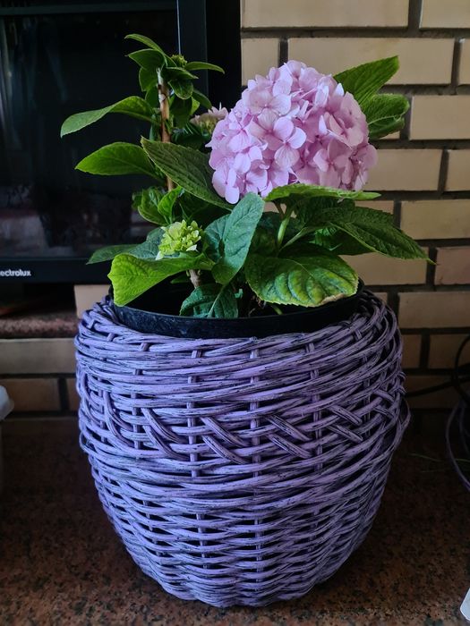 Кашпо из ротанга