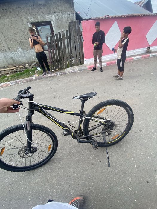 RAAM 2910 bicicleta adulti cu roti R29