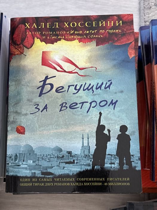 Книги«и эхо летит по горам ; бегущий за ветром ; тысяча сияющих солнц»