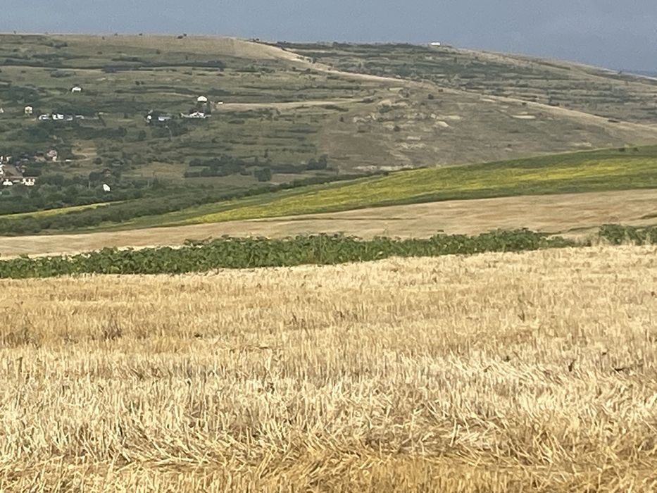 Vand teren extravilan 11600 m2In Cluj Campenesti