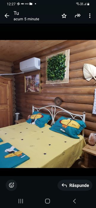 Cazare la  Cabana /Casa de vacanta in Baile Herculane