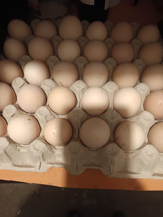 Oua consum proaspete