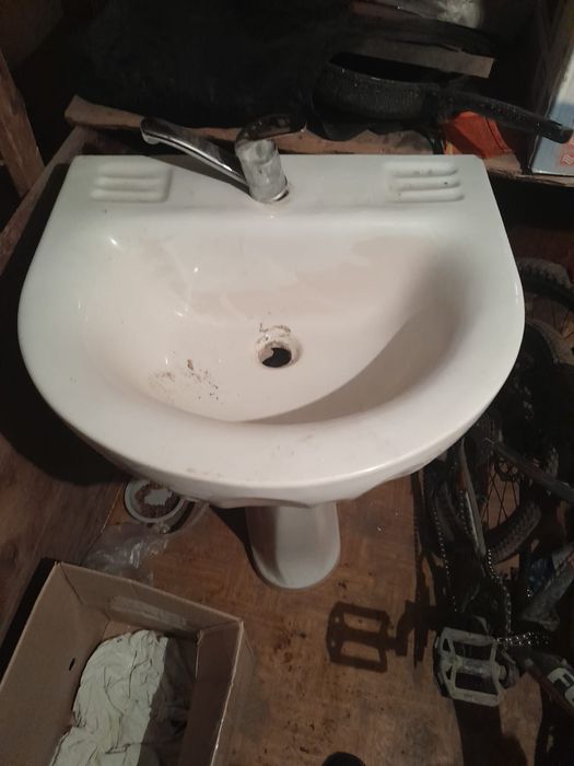 Продам тюльпан в отличном состоянии