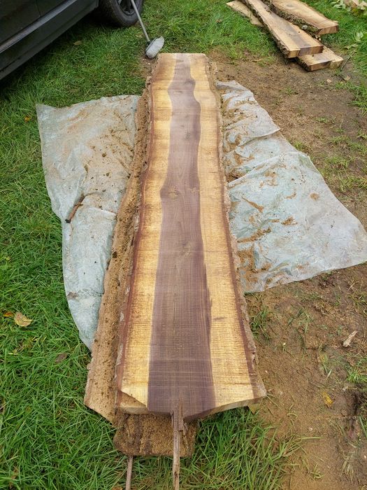 [raritate] Scandura (cherestea) Nuc negru american (Black Wallnut)