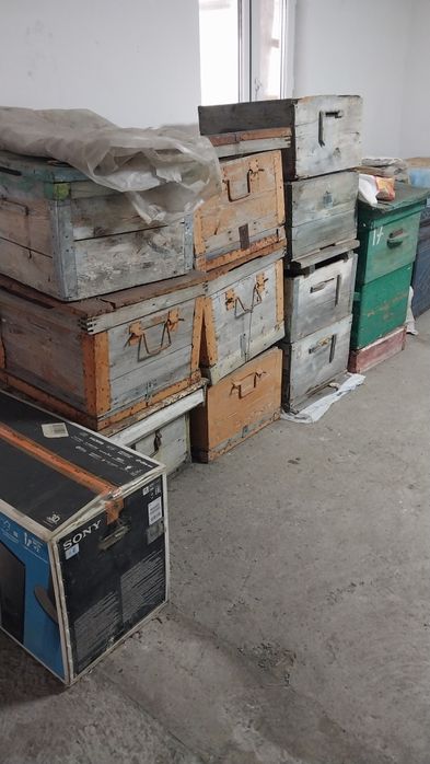 Улья Дадан в среднем состоянии цена договорная