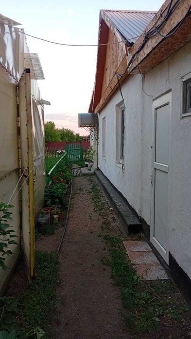 Продам дом-усадьбу