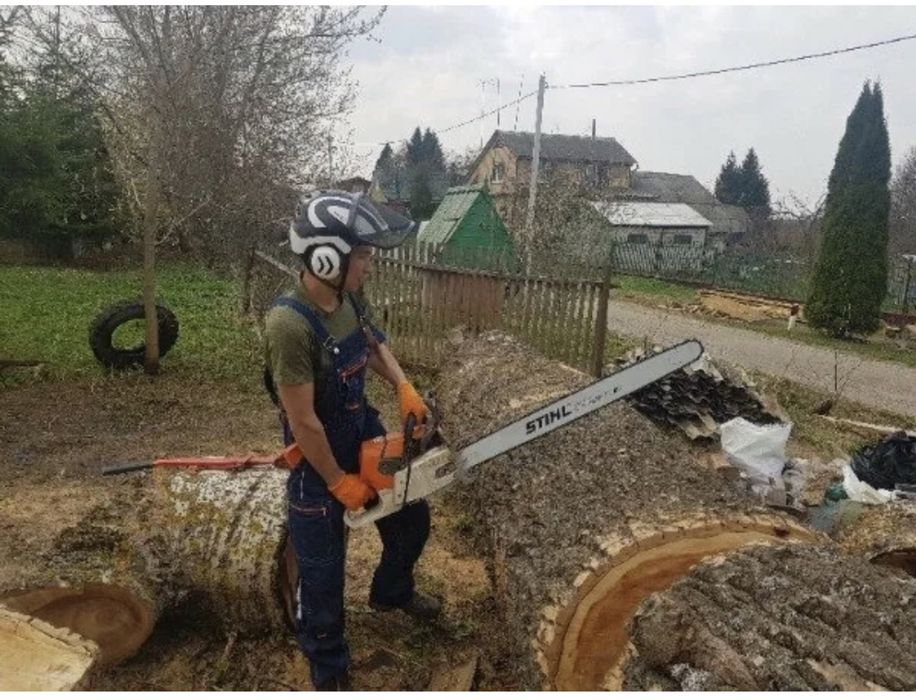 Спилит дерево Профессиональная спил и обрезка деревьев