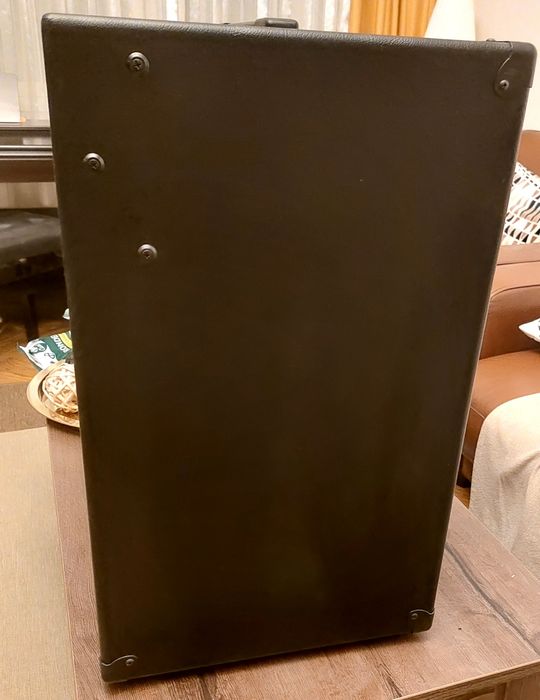 Tc Electronic BG250 115  combo Bass