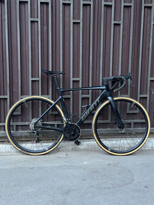 Giant PCR LTD 2 2025