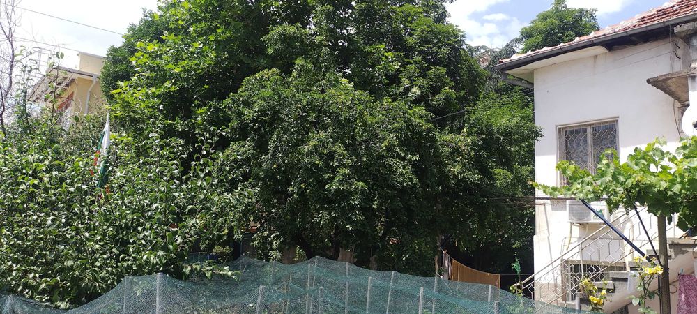 Продава се Къща в Казанлък - 300 кв.м за 797 €/кв.м - Снимка #1