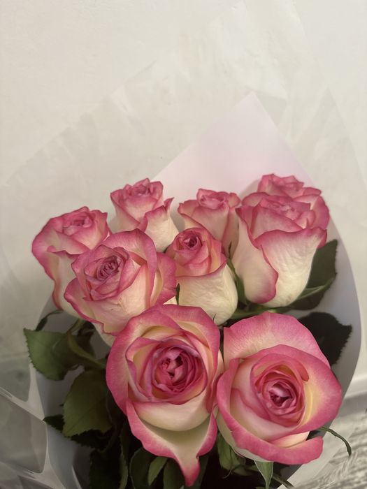 Букет роз метровых 9 шт