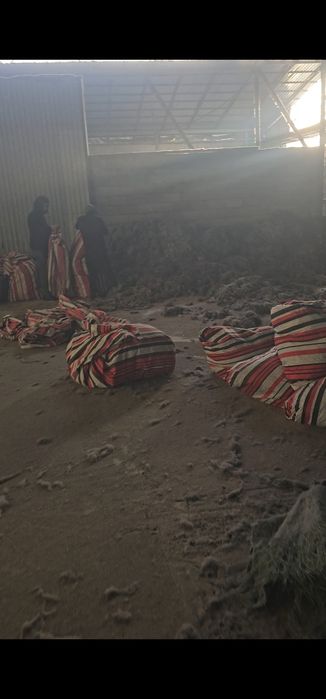 Вата махта для матрасов мебели и тд