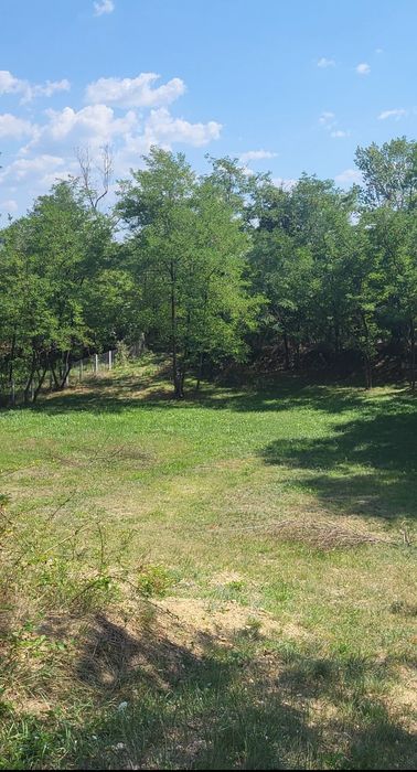 Vând teren 3231 m²