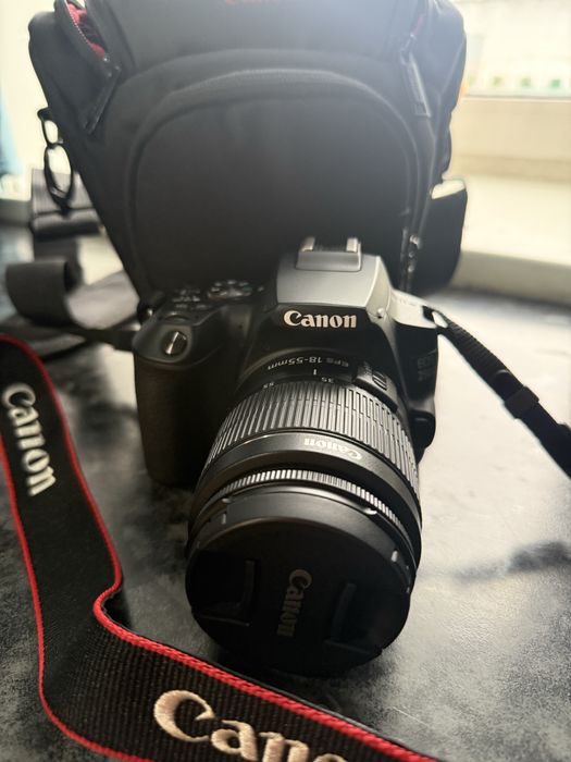 Фотокамера Canon EOS 250D EF-S 18-55 IS STM Kit