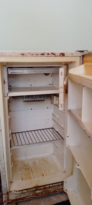 Uyingiz uchun Muzlatgich