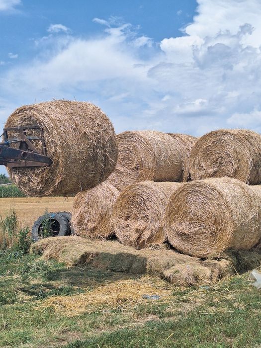 Vând baloți rotunzi de paie