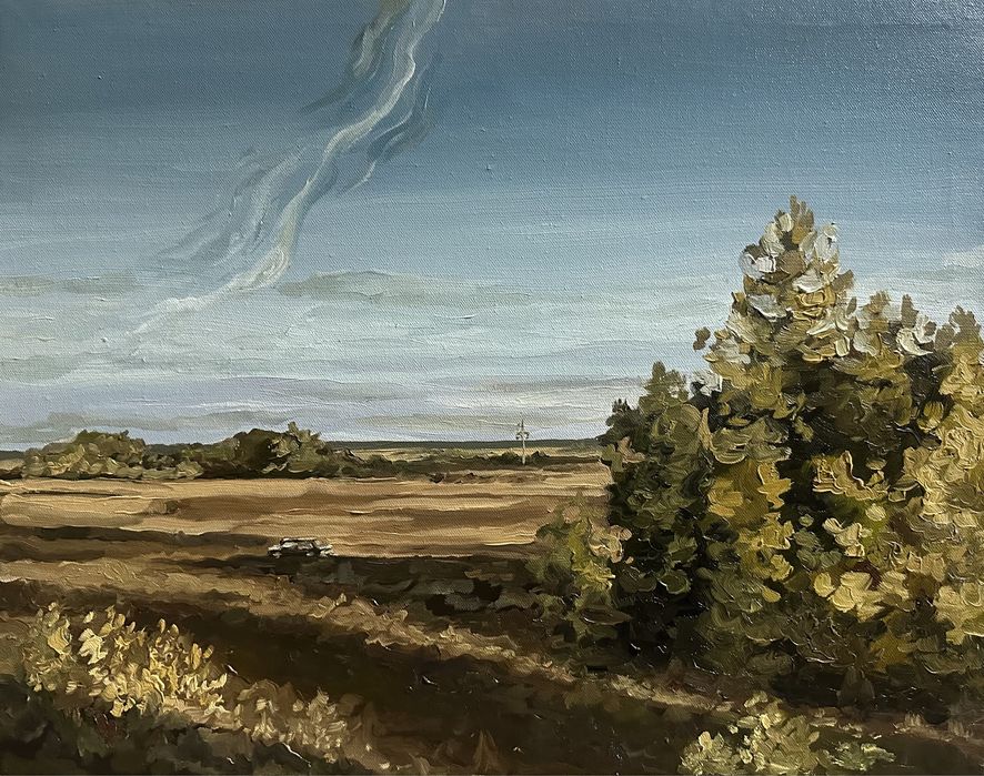 Авторская картина