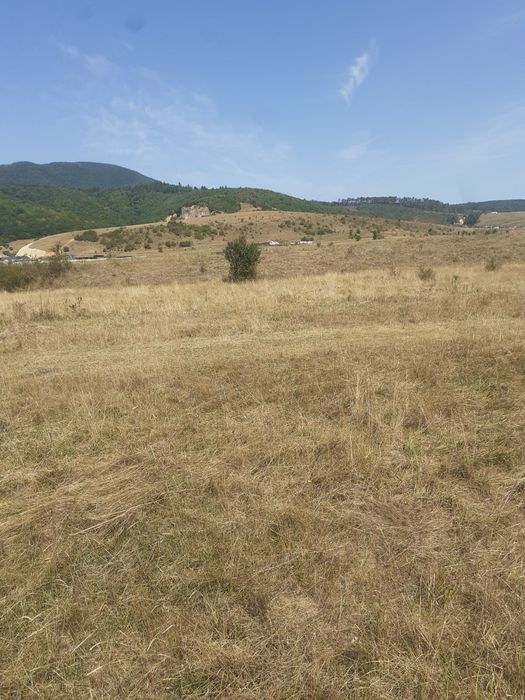 Teren Codlea Brasov